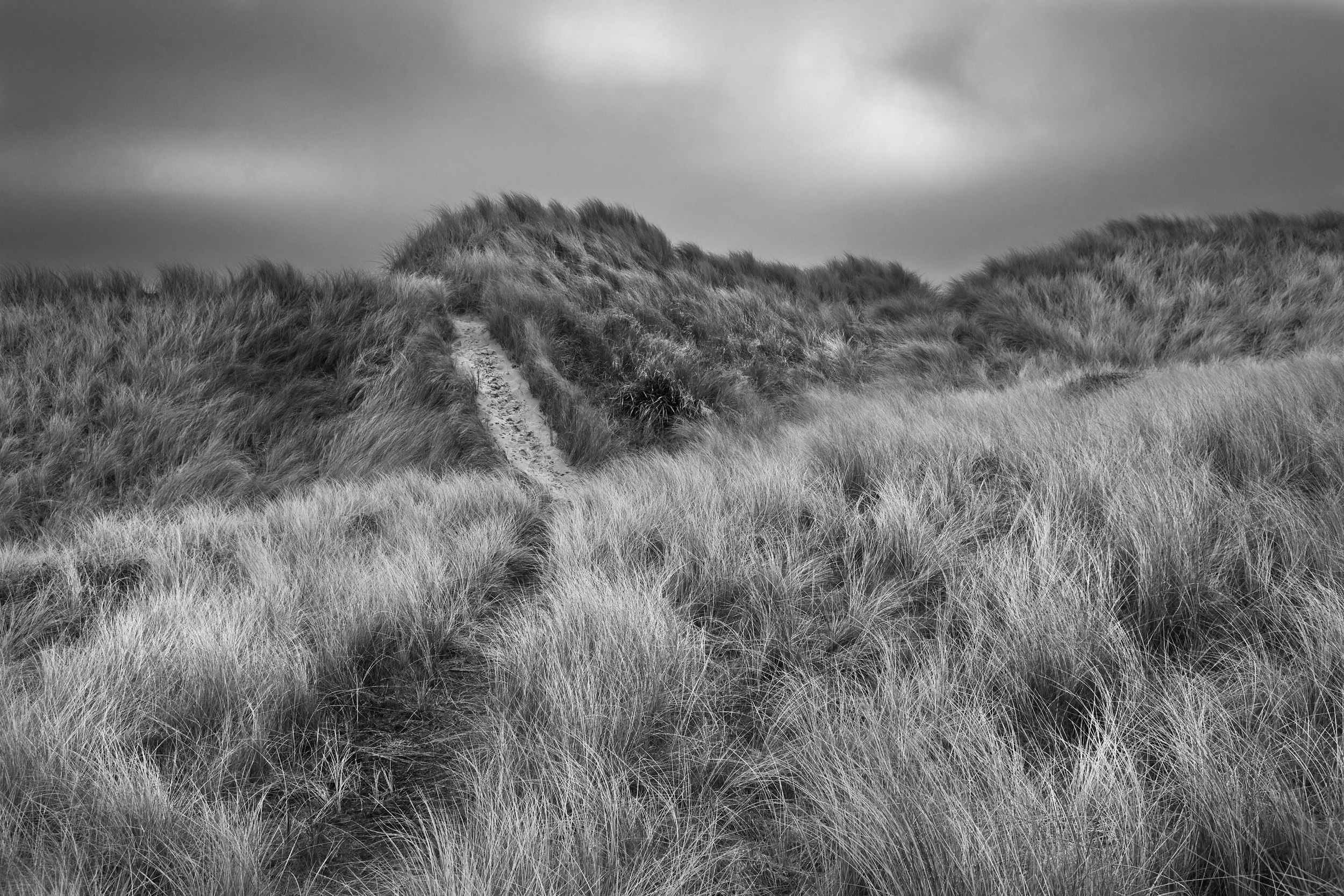 Paul Craig Interior Photographer Personal Work Cornwall Dunes